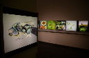 Wasp_exhibition__DSC3497